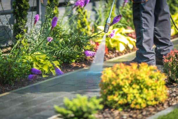 Best Restaurant Pressure Washing  in Berryville, AR